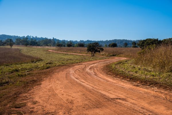 Dirt Driveway Repair in Mason