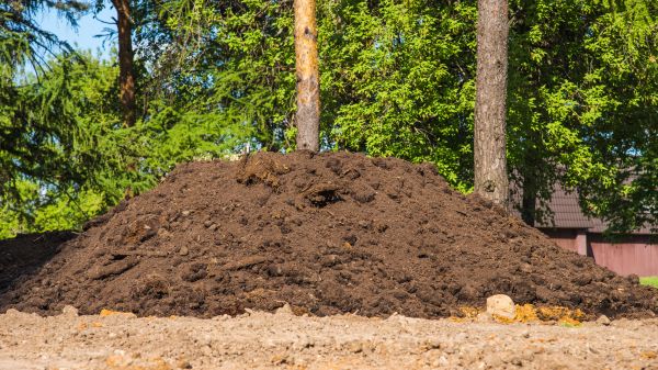Dirt Installation in Mason
