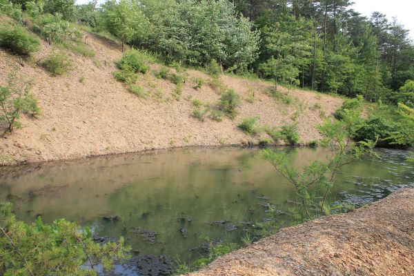 Pond Erosion Repair in Mason