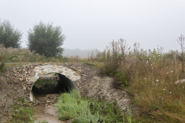 Culvert Excavation in Mason