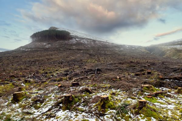 Hill Removal in Mason